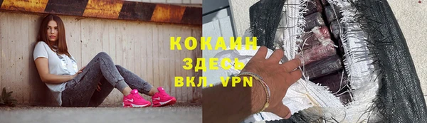 сатива Надым