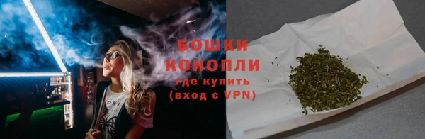 сатива Надым