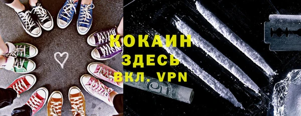 сатива Надым