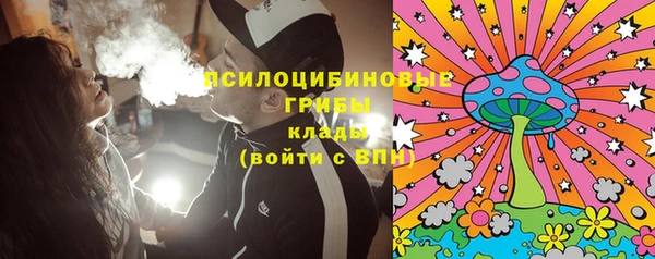 сатива Надым