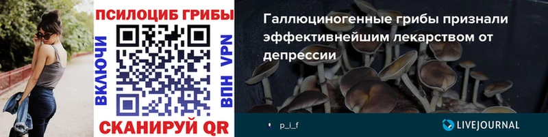 купить наркотик  Городище  площадка состав  Псилоцибиновые грибы Cubensis 