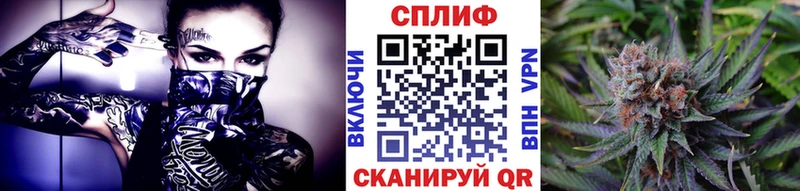 где продают   KRAKEN tor  Конопля ГИДРОПОН  Городище 